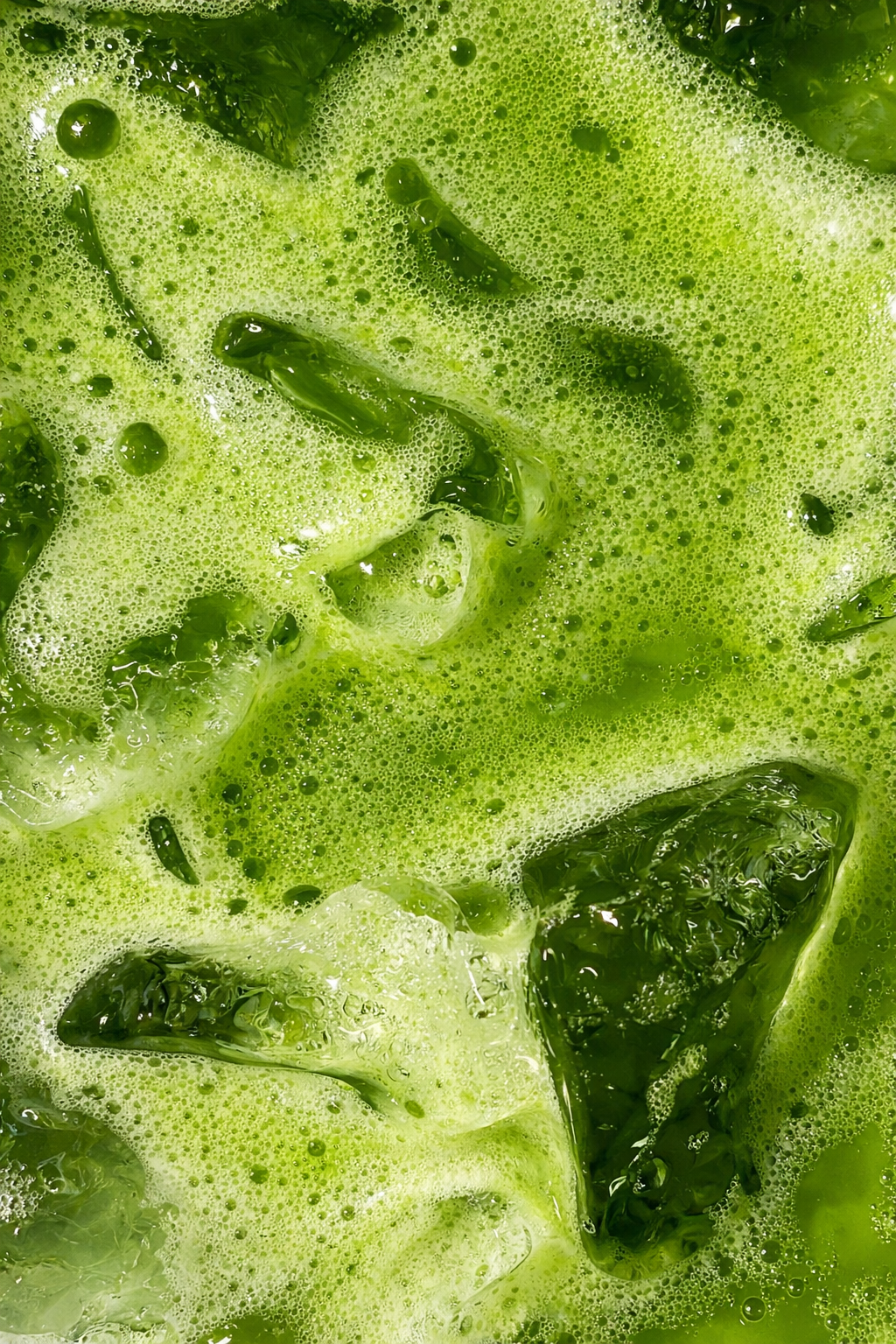 The Matcha Obsession Continues